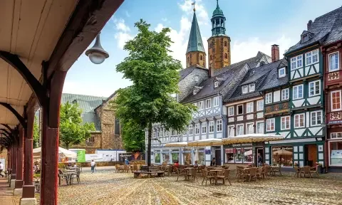 Stewarding Service / Dishwashing Cleaning Goslar